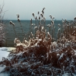 Thumbs Ammersee-winter-8026 in Outdoor still life