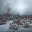 Thumbs Ammersee-winter-8027 in Outdoor still life